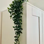 Holiday home Casa Eva Funchal (Madeira)