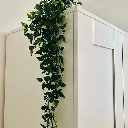 Сasa de vacaciones Casa Eva Funchal (Madeira)